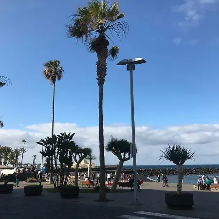 Sunset Avenida
